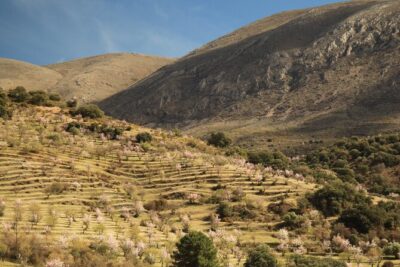 Granada: Nature, Wildlife and Authentic Villages E-bike Tour - Stop 1: La Silla del Moro for a fast, stunning viewpoint