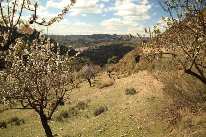 Granada: Nature, Wildlife and Authentic Villages E-bike Tour - Price and value: what $95.34 gets you