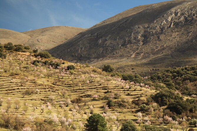 Granada: Nature, Wildlife and Authentic Villages E-bike Tour - Stop 1: La Silla del Moro for a fast, stunning viewpoint