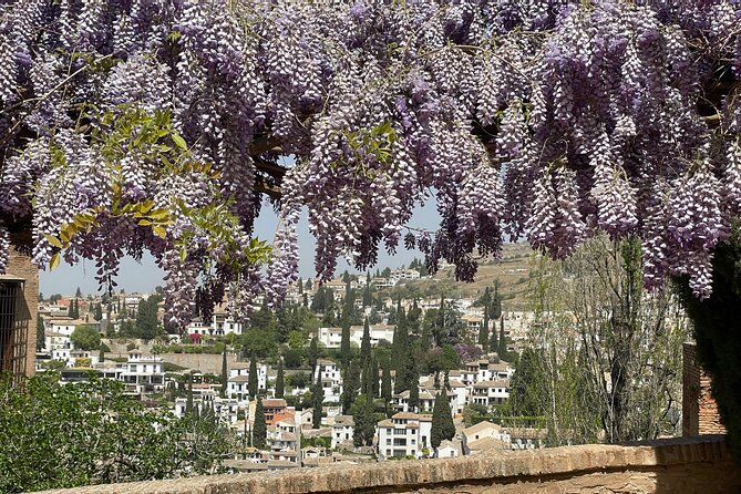 Granada : Private Alhambra Tour + Nazaries Palaces (VIP) - Should you book this private Alhambra tour?
