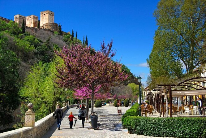 Granada Private Segway Tour - Key highlights you’ll actually feel