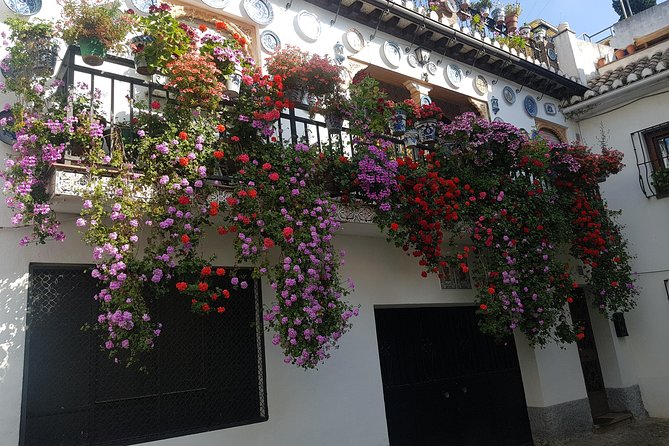 Granada Segway Tour to Albaicin and Sacromonte - Vereda de Enmedio: the settlement story behind the caves