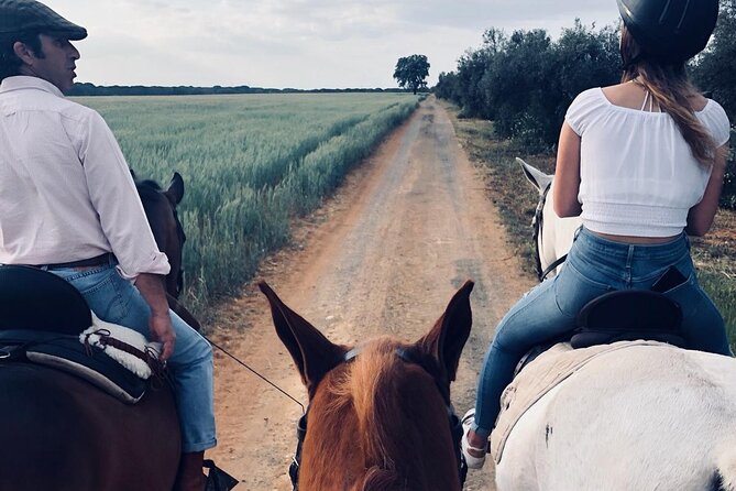 Granada & Sierra Nevada Horse Riding Tour - Meet the ranch owners and get introduced to Andalusian horses