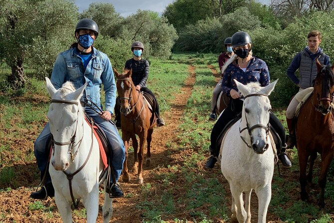 Granada & Sierra Nevada Horse Riding Tour - How the ride works with an instructor and helmets