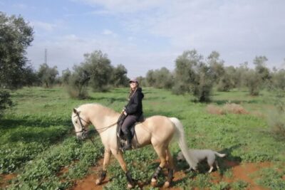 Granada & Sierra Nevada Horse Riding Tour - Sierra Nevada foothills: what you’ll actually see while riding