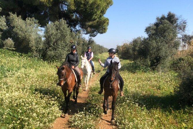 Granada & Sierra Nevada Horse Riding Tour - Price and value: is $150.51 a fair deal?
