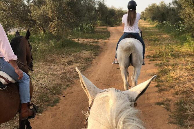 Granada & Sierra Nevada Horse Riding Tour - Getting there: meeting points, taxis, and optional transfers