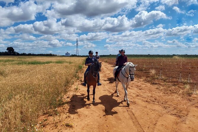 Granada & Sierra Nevada Horse Riding Tour - Private and semi-private ride options (and how ranch choice affects it)