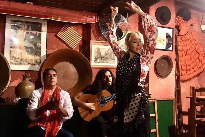 Granada Tapas Trail & Gypsy Flamenco Show - Sacromonte cave flamenco: the acoustics are the star