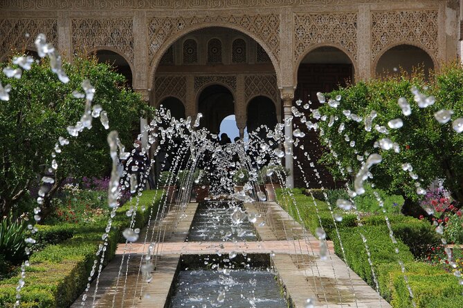 Guided tour of Alhambra and Generalife with Nasrid Palaces - Nasrid Palaces (Mexuar, Comares, Leones): where you learn to see the meaning