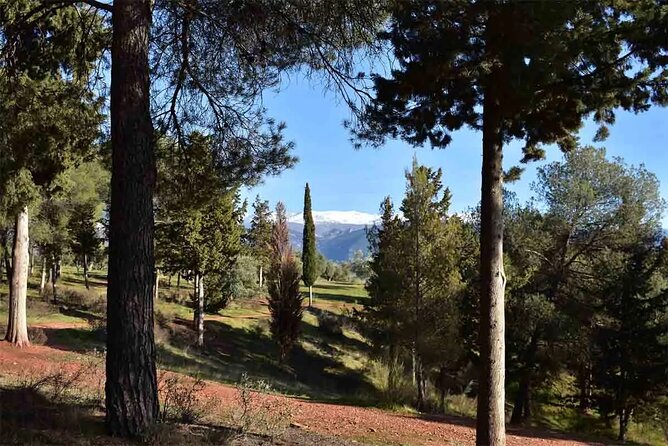 Hiking in the natural park on the outskirts of the Alhambra - La Silla Del Moro: The First Big View Moment