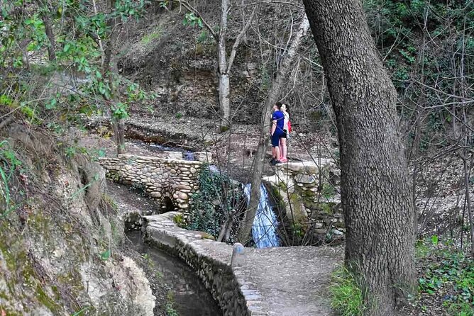 Hiking in the natural park on the outskirts of the Alhambra - Meeting at Puente del AljibilloCentro: Simple Start, No Car Needed