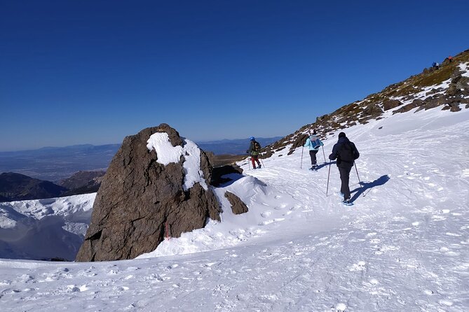 Hiking Snowshoeing in the Sierra Nevada Park, Granada - Key highlights worth the planning time