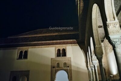 Night Tour of Alhambra and the Nasrid Palaces - Meet at Alhambra Ticket Office and plan for a small-group pace