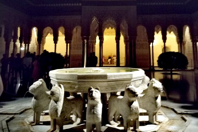 Night Tour of Alhambra and the Nasrid Palaces - Practical tips so the night run stays smooth