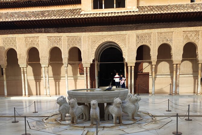 Private Tour of the Alhambra - Nasrid Palaces: Lions, Arrayans, and the feeling of a court