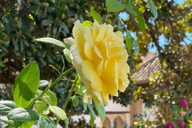 Private Tour to The Alhambra and Generalife from Motril port - Alcazaba: the fortress side that makes the Alhambra make sense
