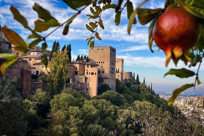 Private Tour to The Alhambra and Generalife from Motril port - How the 5-hour port-to-port timing really feels