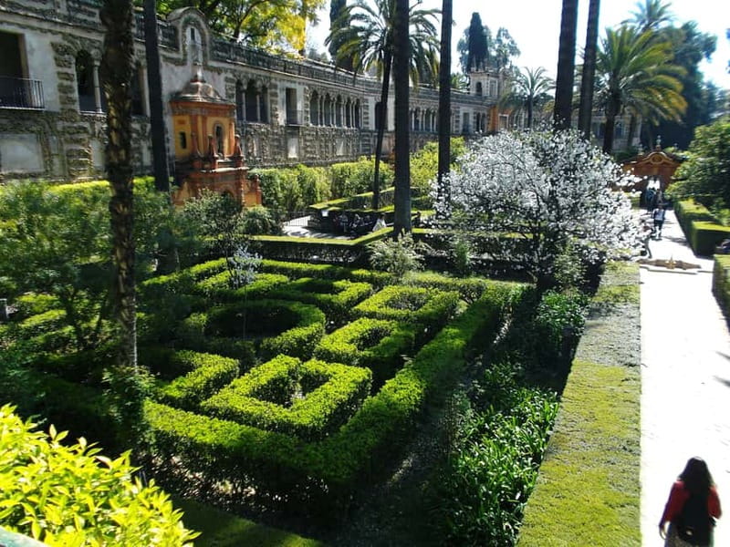 Sevilla Full-Day trip from Granada - Key things to know before you go