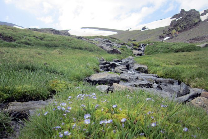 Sierra Nevada Day Trip from Granada. Small group up to 8 pax - Why Sierra Nevada Works as a Day Trip From Granada