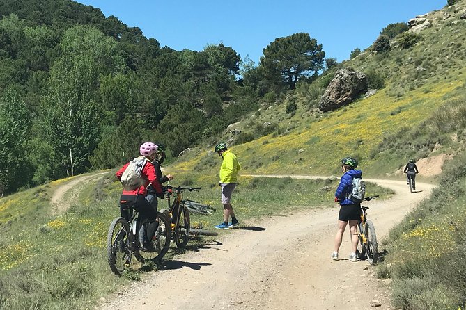 Sierra Nevada Ebike Tour Small Group - What you’re paying for: value at about $123.36 per person