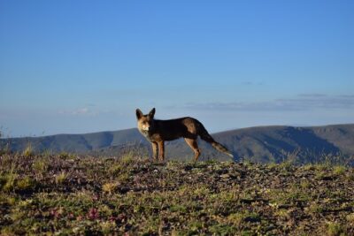 Sierra Nevada Tour (Granada) - Sierra Nevada National Park Stops: Big Views and a Comfortable Walk