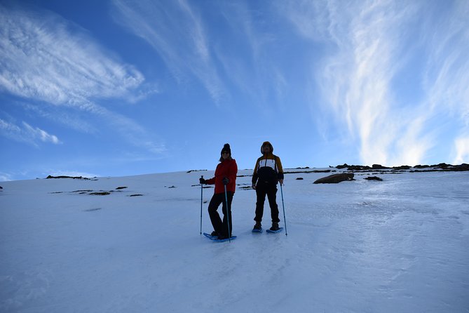 Snowshoe hiking in Sierra Nevada (Granada) - Key Things I’d Remember Before You Go