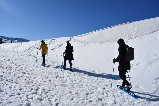 Snowshoe hiking in Sierra Nevada (Granada) - From Granada to 2,500 Meters: Why This Trip Works So Well