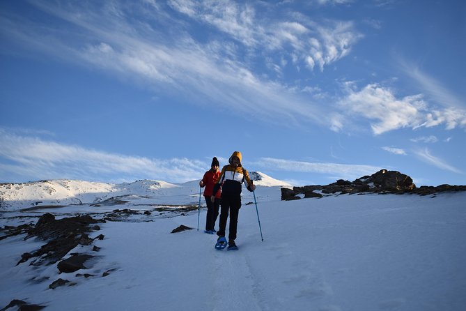 Snowshoe hiking in Sierra Nevada (Granada) - Price and Value: Is $62.65 a Good Deal?