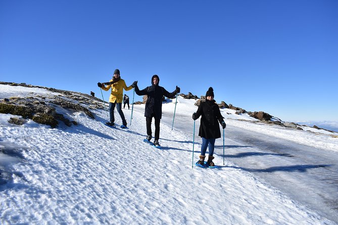 Snowshoe hiking in Sierra Nevada (Granada) - Meeting Point and Group Feel: What “Private” Really Changes