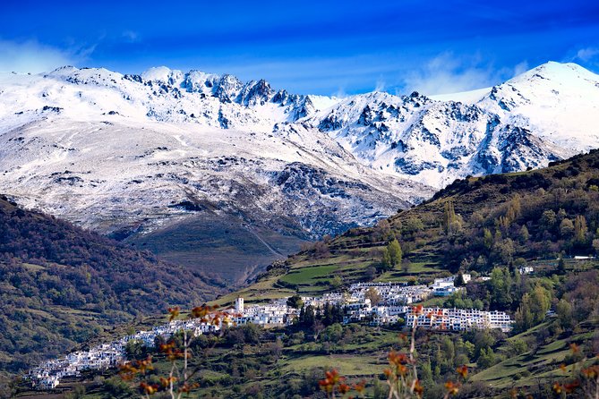 The Unchanged Villages of Alpujarra Small-Group Guided Day Trip - Las Alpujarras Stop: The Viewpoint Decision (and Why Lunch Matters Here)
