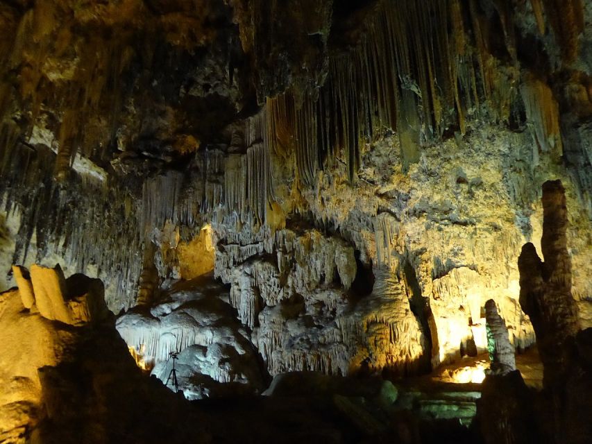 Tropical Coast and Caves of Nerja Day Tour from Granada - Entering the Nerja Caves: stalactites, stalagmites, and that wow factor
